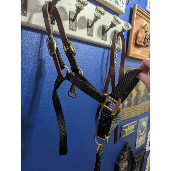Safety Horse Halter (Missing Strap) - Picture 3 of 4